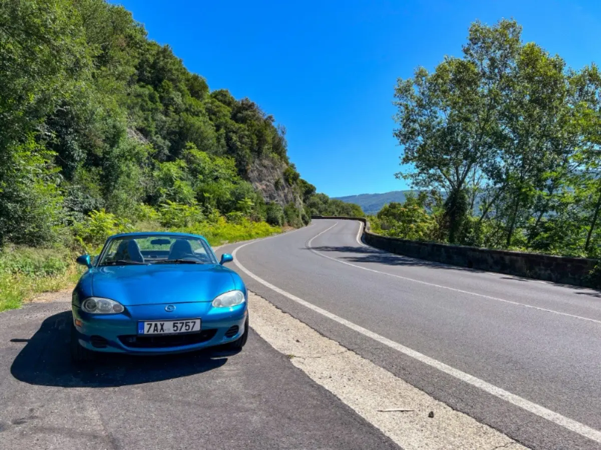 Dovoz automobilů ze zahraničí — ilustrační foto